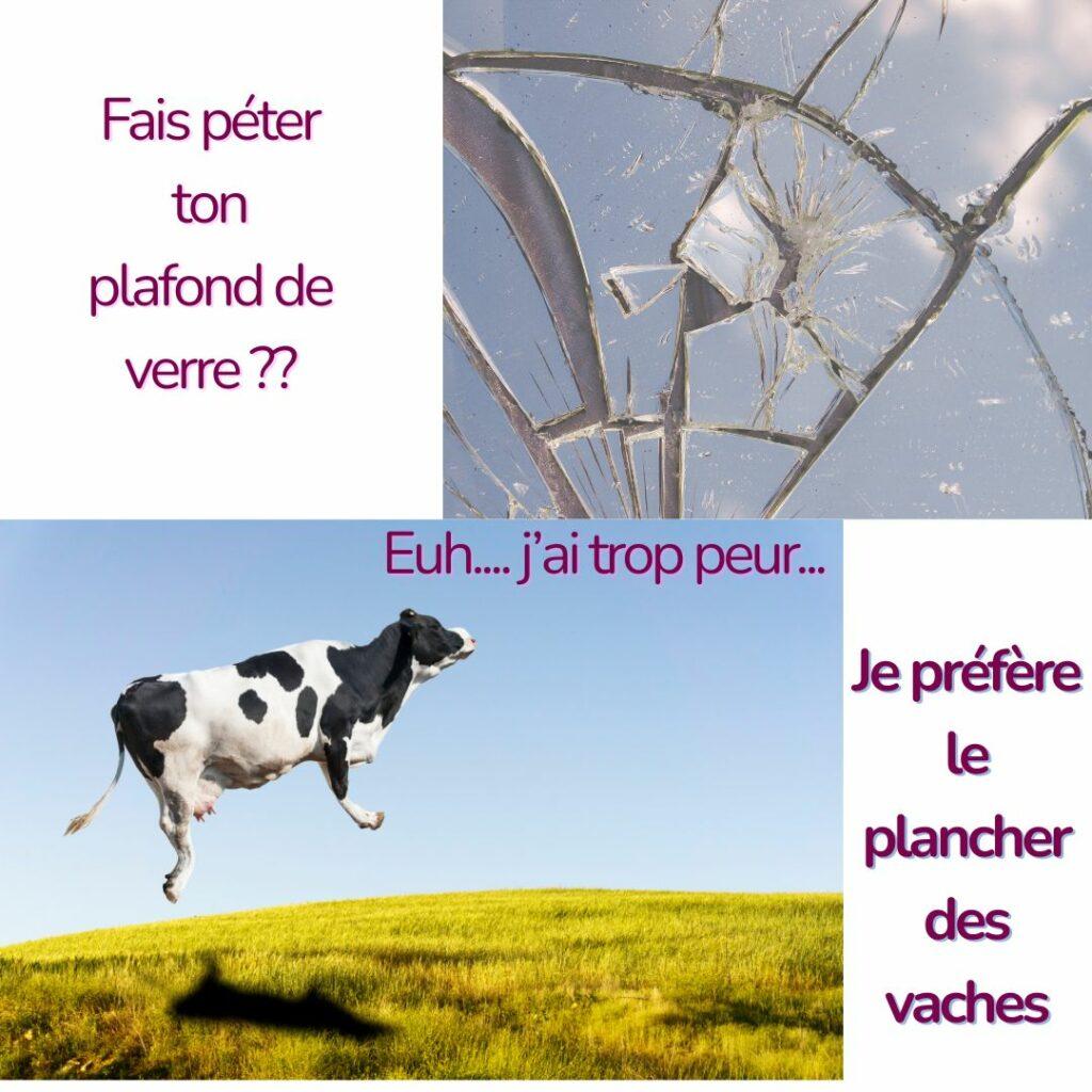 Illustration humoristique du plafond de verre et du plancher des vaches, métaphore d’un entrepreneuriat ancré et réaliste selon l’Ayurveda.