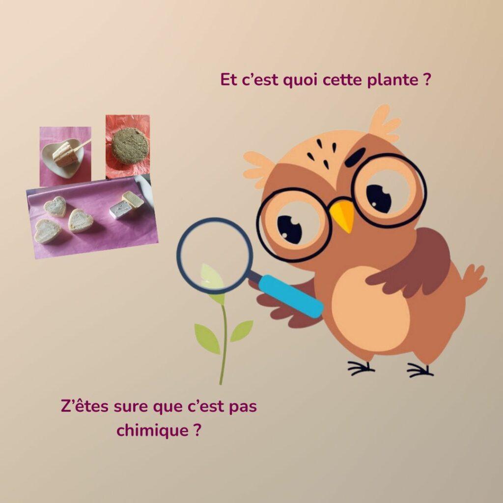 Illustration d’un hibou cartoon avec une loupe inspectant une plante, à côté de photos de savons faits maison, pour illustrer la suspicion envers les produits artisanaux.