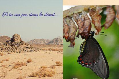Image divisée en deux : à gauche un désert aride sous un ciel bleu, à droite un papillon noir sortant de sa chrysalide. Le visuel oppose la mode du désert à la vraie transformation intérieure.