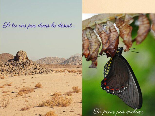 Image divisée en deux : à gauche un désert aride sous un ciel bleu, à droite un papillon noir sortant de sa chrysalide. Le visuel oppose la mode du désert à la vraie transformation intérieure.