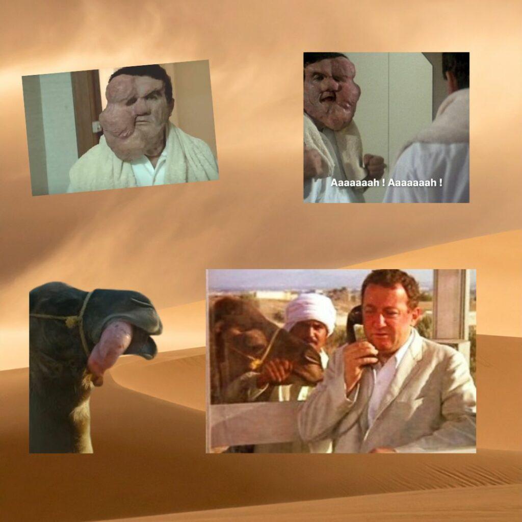 Montage humoristique avec des scènes du film Banzaï de Coluche et un dromadaire, superposés sur un paysage désertique. L’image illustre le décalage entre la vision idéalisée du désert et la réalité beaucoup moins glamour.