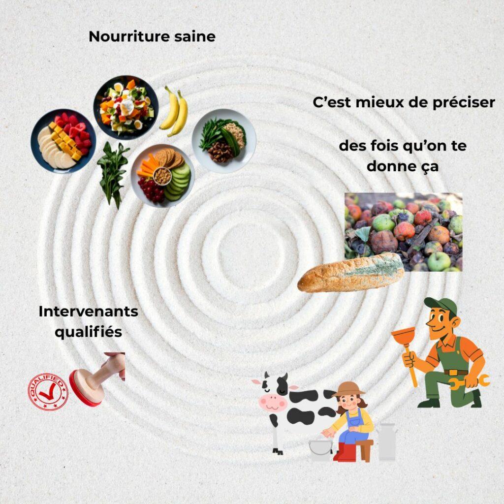 Montage humoristique montrant la différence entre une nourriture saine attendue dans un séjour bien-être et une nourriture douteuse, ainsi que des illustrations caricaturales d’intervenants non qualifiés pour souligner l’ironie du propos.