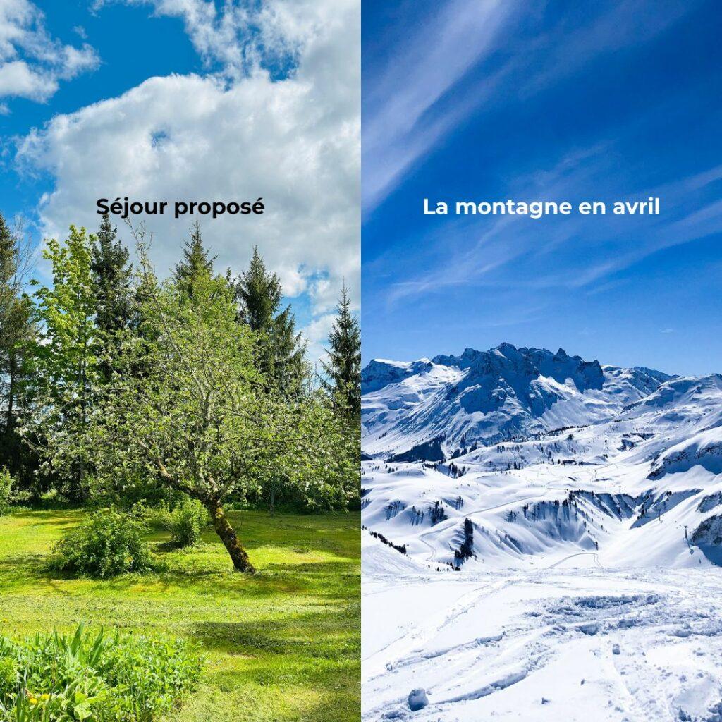 Comparaison entre une image estivale verdoyante présentée dans un séjour bien-être en avril et la réalité d’une montagne enneigée en avril.