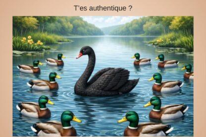 Un cygne noir nage au milieu de canards sur un lac, illustrant la différence, l’authenticité et le fait de ne pas suivre le troupeau