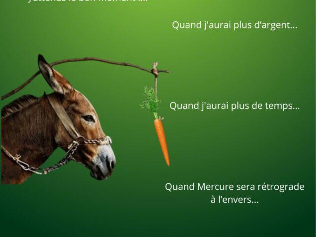 Illustration d’un âne avançant vers une carotte suspendue, accompagnée d’excuses comme « quand j’aurai plus de temps » ou « quand j’aurai plus d’argent », symbolisant l’attente du moment parfait pour agir.